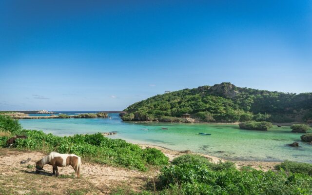 Allamanda Imgya Coral Village