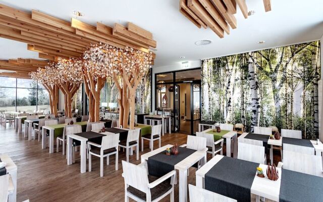 Panorama Hotel Aschberg