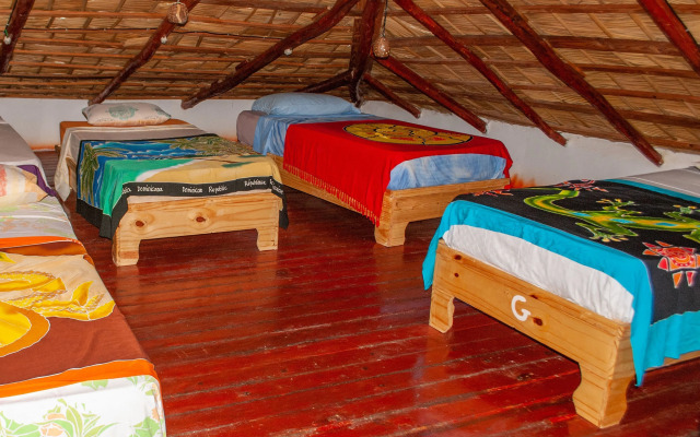 Hostel La Ballena Backpacker