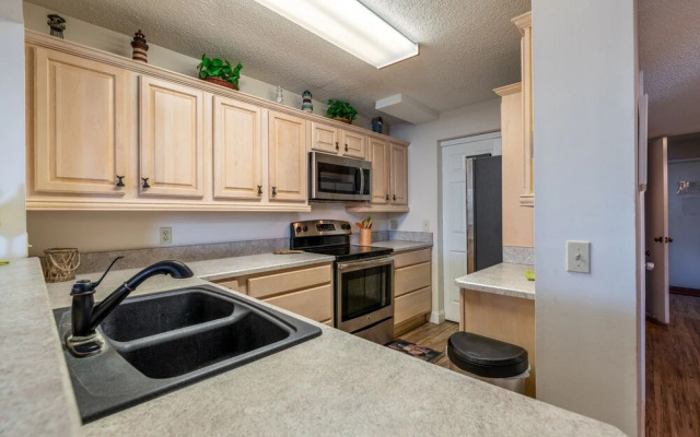 Colony Reef by Vtrips