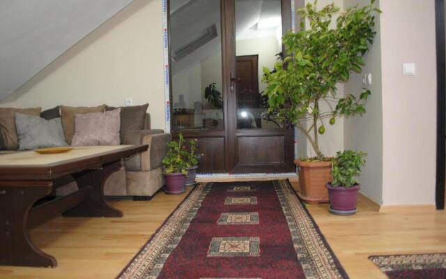 Family Guesthouse - Macharashvili