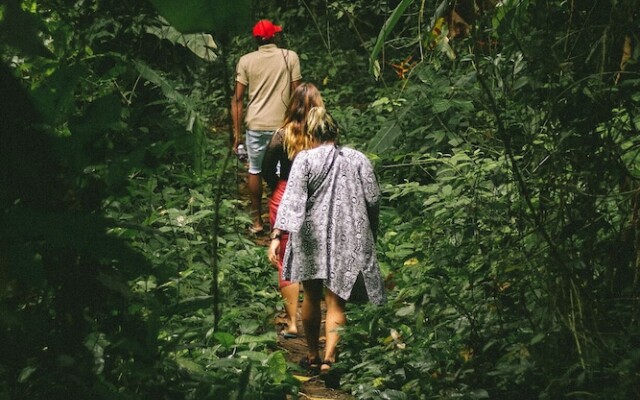 Saboga Lodge and Villa Noelia