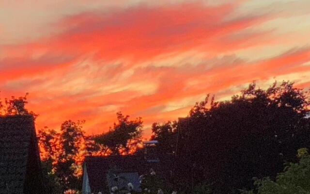 Wilsmann Apartmentvermietung