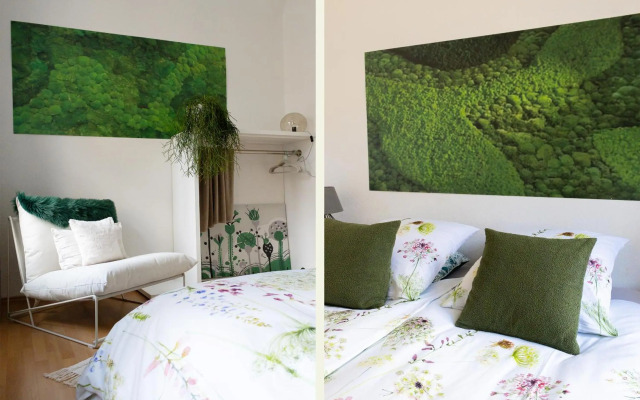 Zur Zenkergasse - Studios & Apartments & DZ in der City