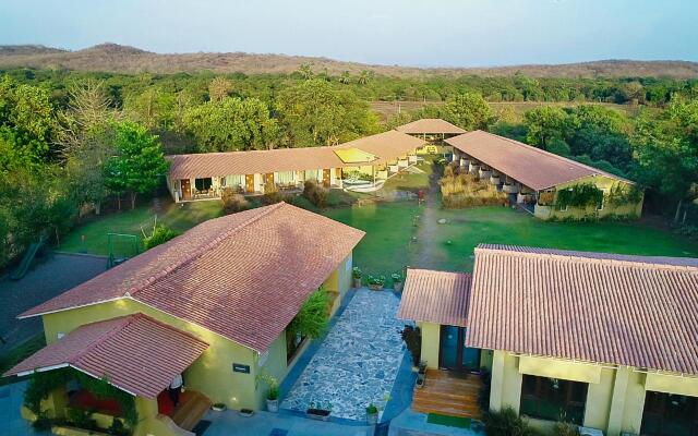 Asiatic Lion Lodge