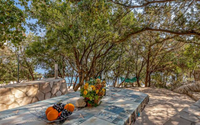 Apartment Rubin Hvar/Pokrivenik 30234