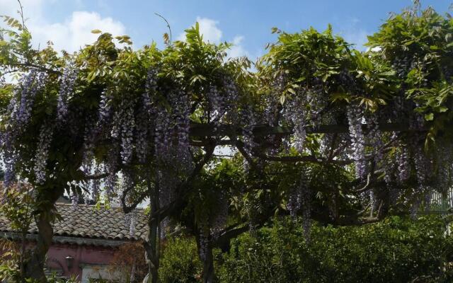 B&B Velardi