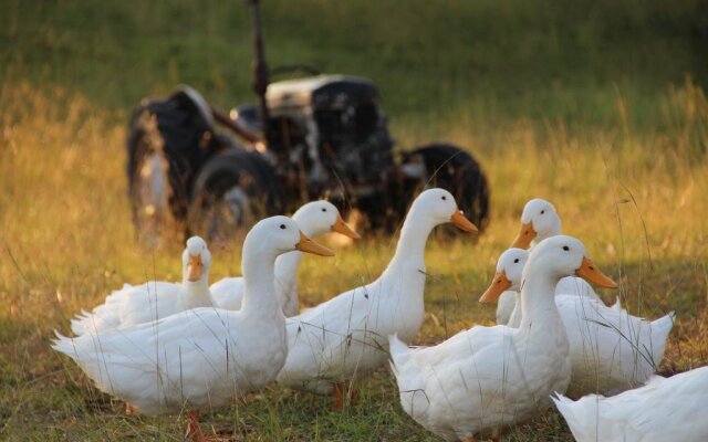 Mulgoa Valley Guesthouse