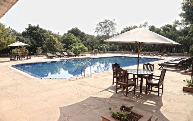 The Bagh