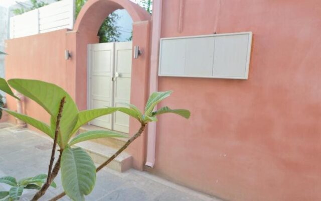 Lemon Tree House