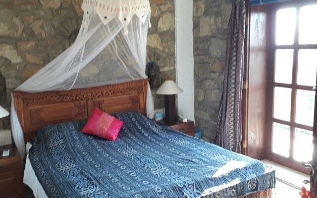 Lazy Lizard Boutique-Hotel