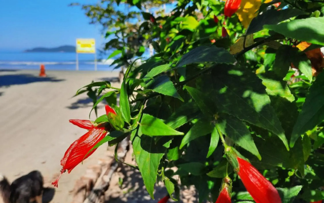 Recanto do Estaleiro
