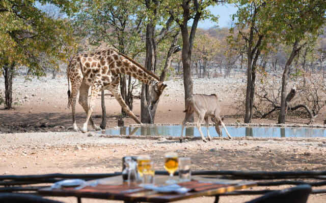 Ongava Tented Camp