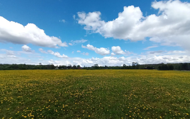 Дом в деревне Чернокуново