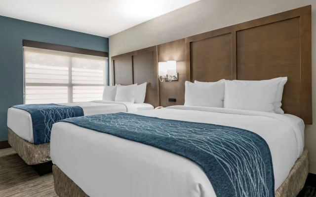 Comfort Inn & Suites Downtown Brickell-Port of Miami