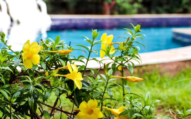 Imperial Palace Hotel