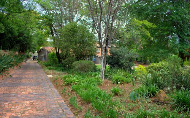 Wild Olive Executive Suite