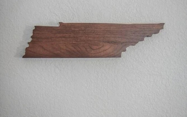 Nashville Skyline I 5 Minutes to Downtown