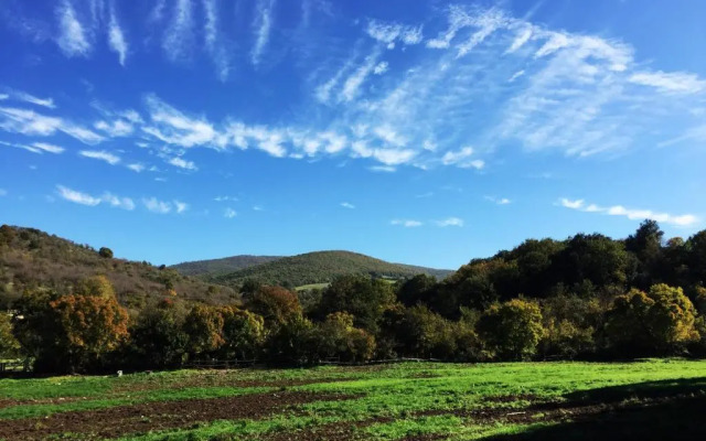 La dimora degli Etruschi