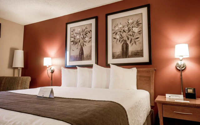 Quality Inn and Suites