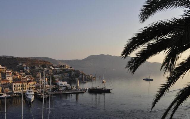 Palm Tree Studio Symi