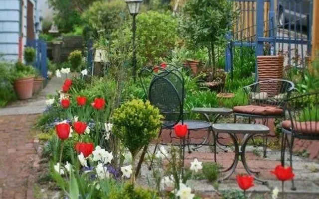 Clementines Bed & Breakfast