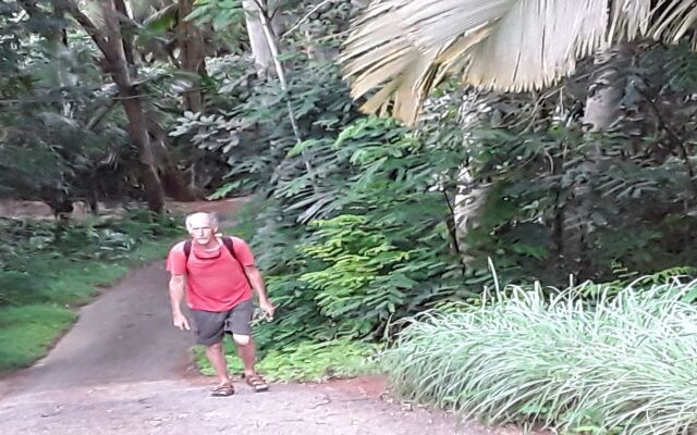La Nature Apartments