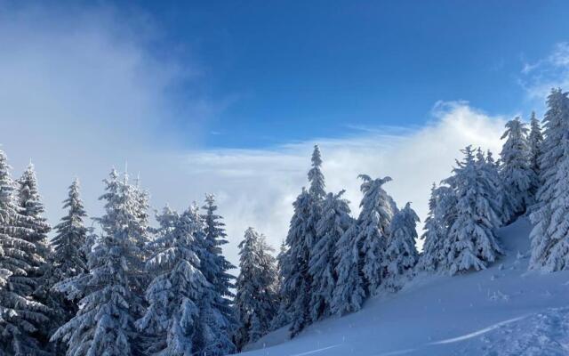 Poiana Brasov - Alpin Resort Hotel - Apartament 2708