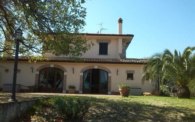 B&B Pathirion