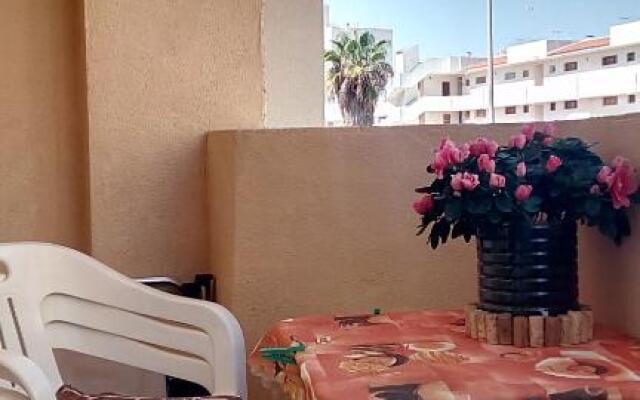 Apartment Manuel Galián 52