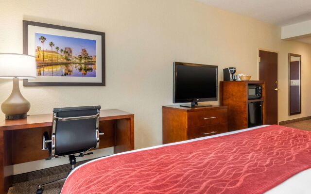 Comfort Inn & Suites St. Pete - Clearwater International Airport