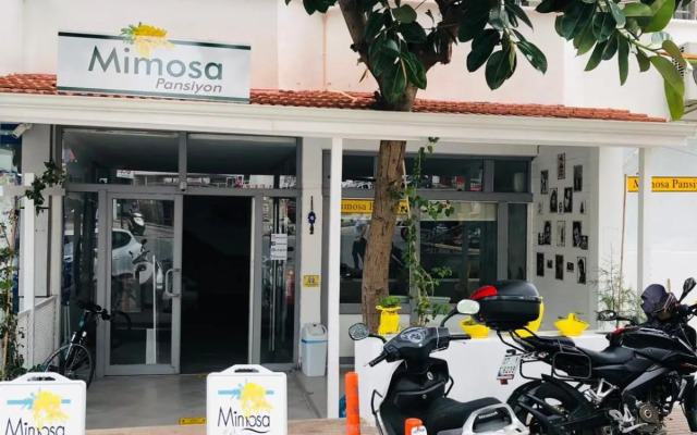 Mimosa Pension