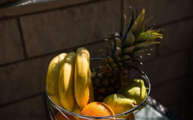 Apartment Wild Orange