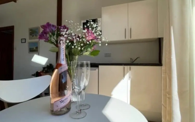 1-bed Sunny Studio Apartment in Tregony, Truro