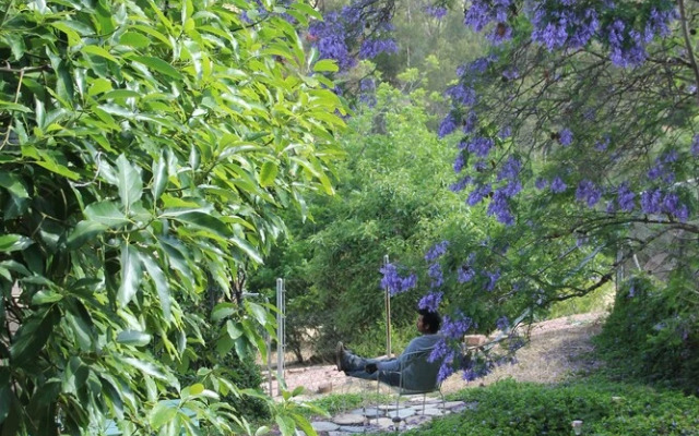 Sandra D's Country Guest House