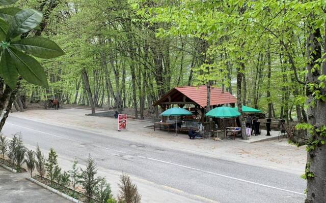 Gachresh Forest Resort