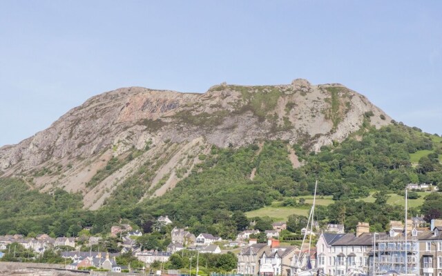 Bron Rallt Newydd