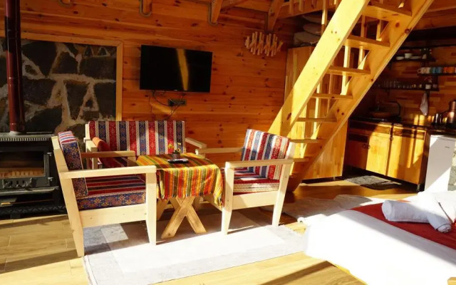 Dogallife Suit Bungalov