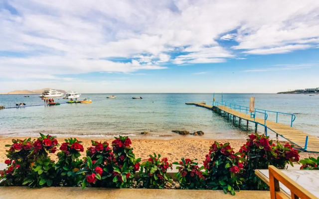Umbi Sharks Bay Diving Village