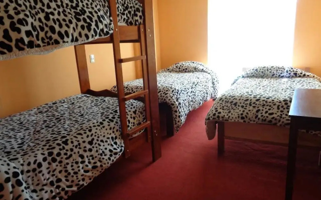 Cozy Hostel