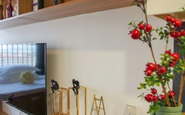 Xingxuan Smart Apartment Hotel (Zhengzhou East High-speed Railway Station)