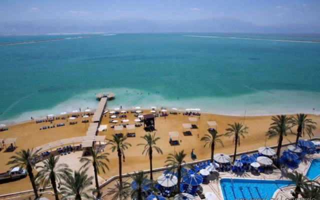 Vert Dead Sea