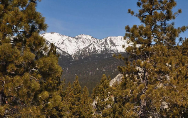 Tahoe Chaparral