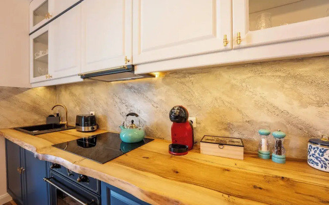 Blue House Citadel Elite Sighisoara