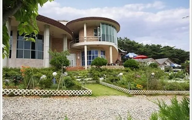 Sun flower pension