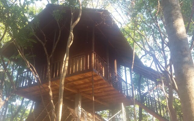 Elephant corridori camping