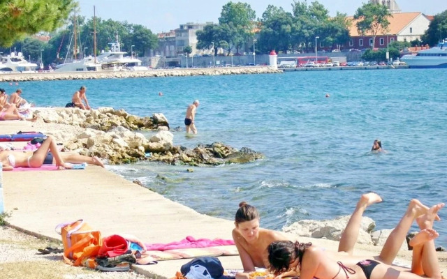 Apartment Palcic