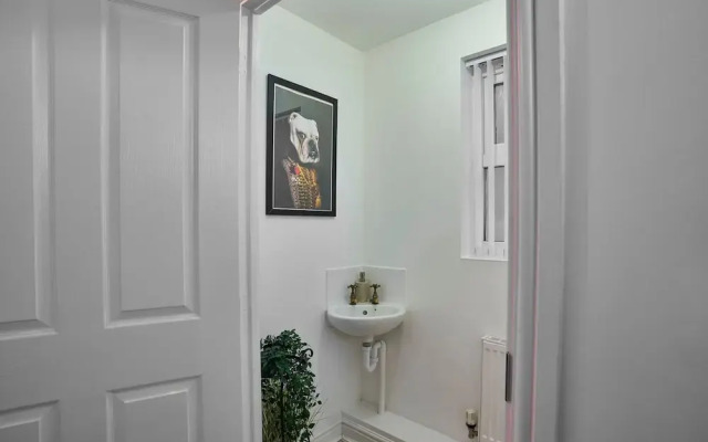 Host Stay Snowdrop Crescent I