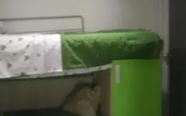 Verde Mare