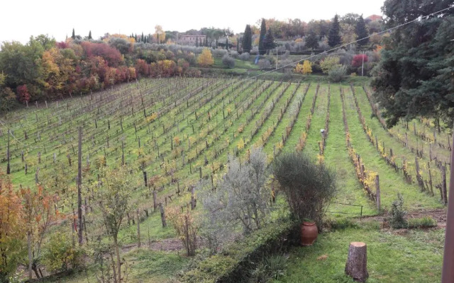 Azienda Agraria La Casella